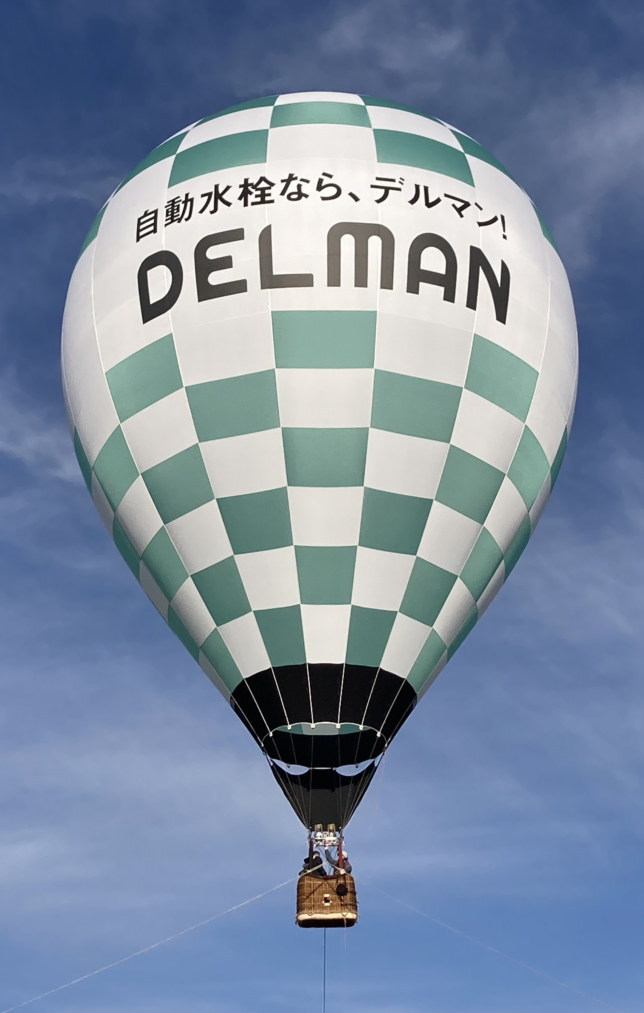 DELMAN DELMAN